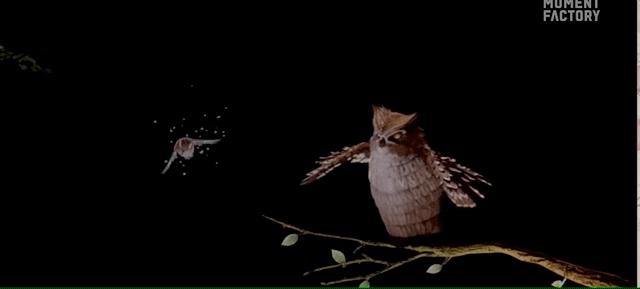 100个夜游项目推荐,沉浸式夜游项目经典案例