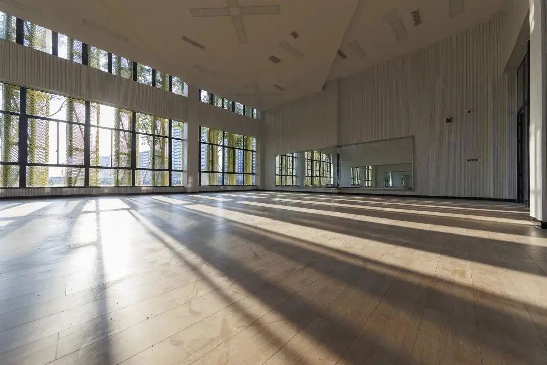 嘉兴未来要建的学校,嘉兴新建学校是哪个校区