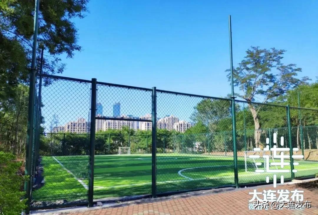 最近足球场在哪里,足球场最新消息