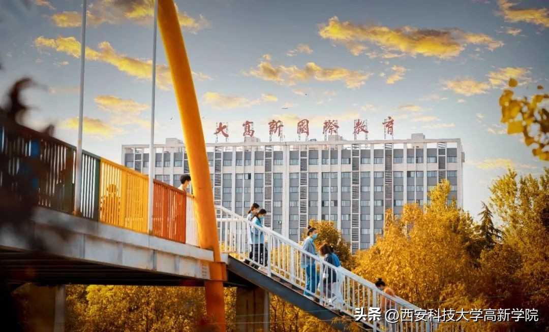 那些阳了的日子,阳了之后你该知道这些事