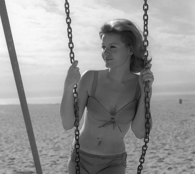 李小龙的情人后来嫁给谁了,李小龙莎朗法雷尔