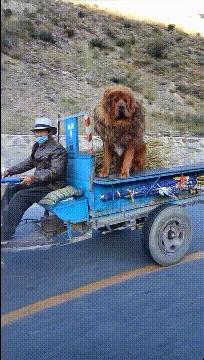 夏天又要来了穿汉服,夏天来了女孩子穿裙子