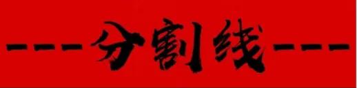 茨维考足球俱乐部布兰德,茨维考足球