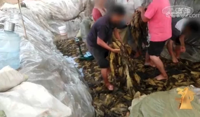 澶璇勯倱浼﹀伔閫冪◣,澶璋堥倱浼﹀伔閫冪◣