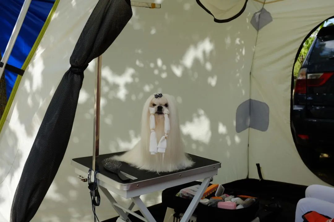 穿越冷冻冲突带：从“德左”到乌克兰|欧洲来信