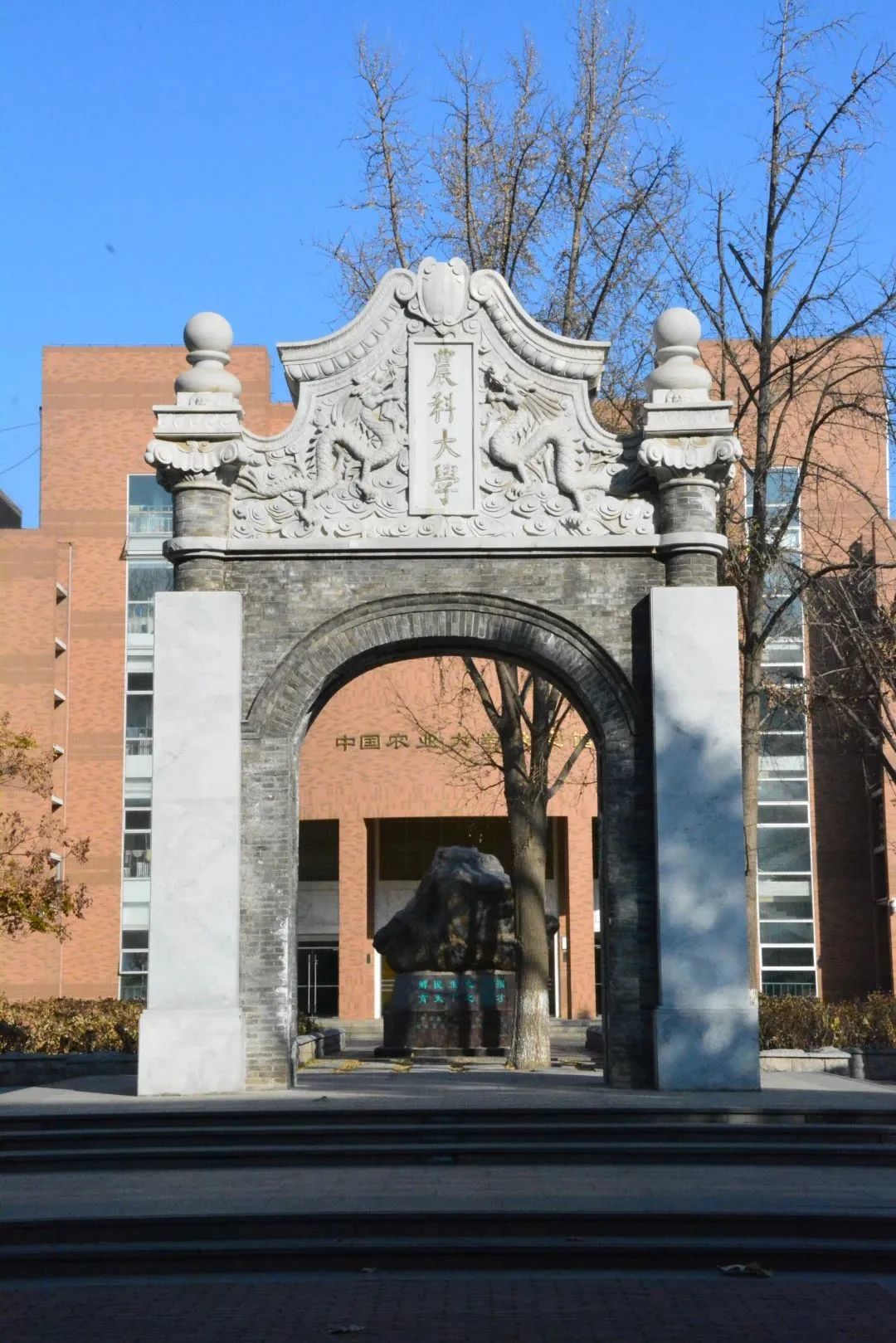 中国农业大学在2020年招生简章,中国农业大学招生简章2024