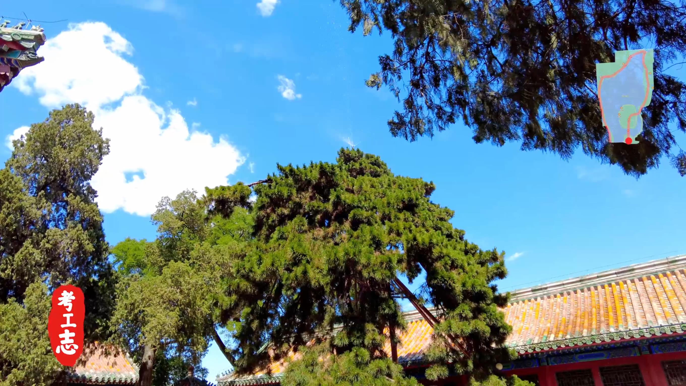 无人发现！众目睽睽下，隐藏百年的工艺巧思「北京北海公园」