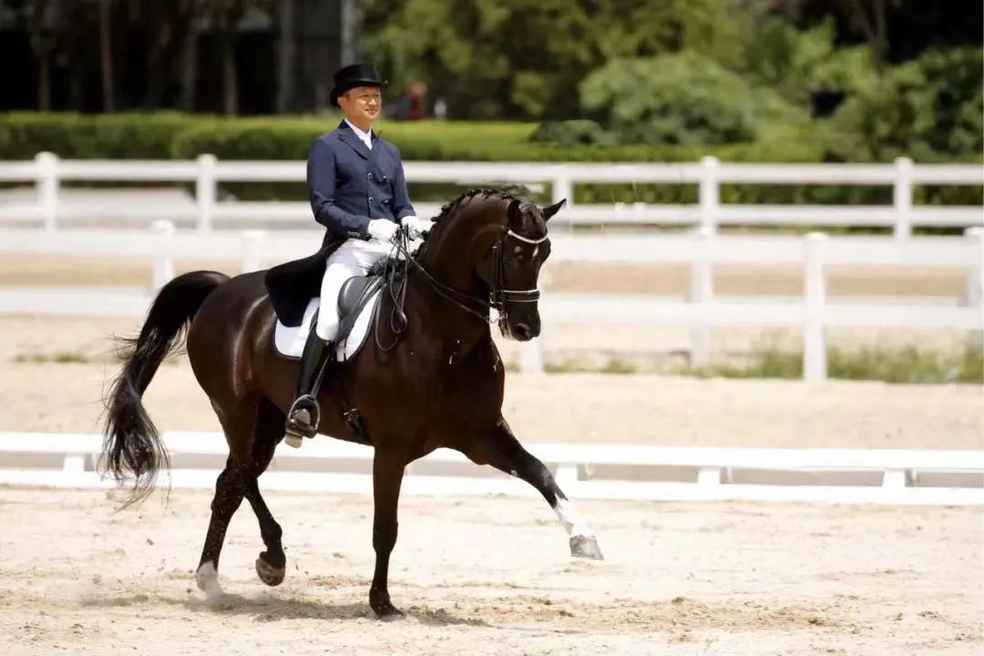 该不该给青少年买马，你的孩子真需要一匹马么？