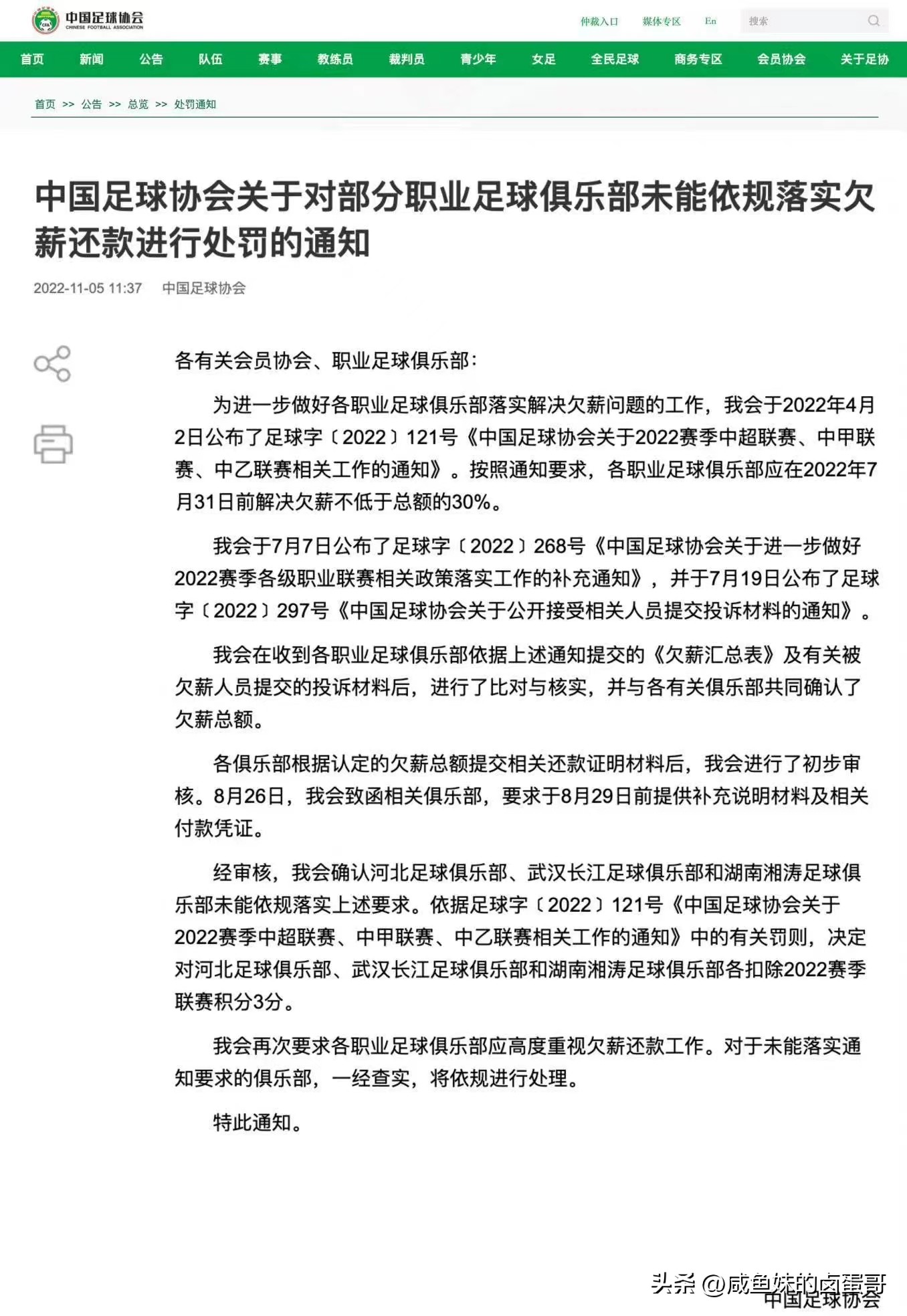 郑智对中超的评价,2019中超郑智