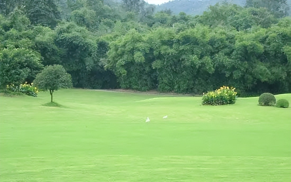 一个让你忘却烦恼的世外桃源,这里是顶级野球场