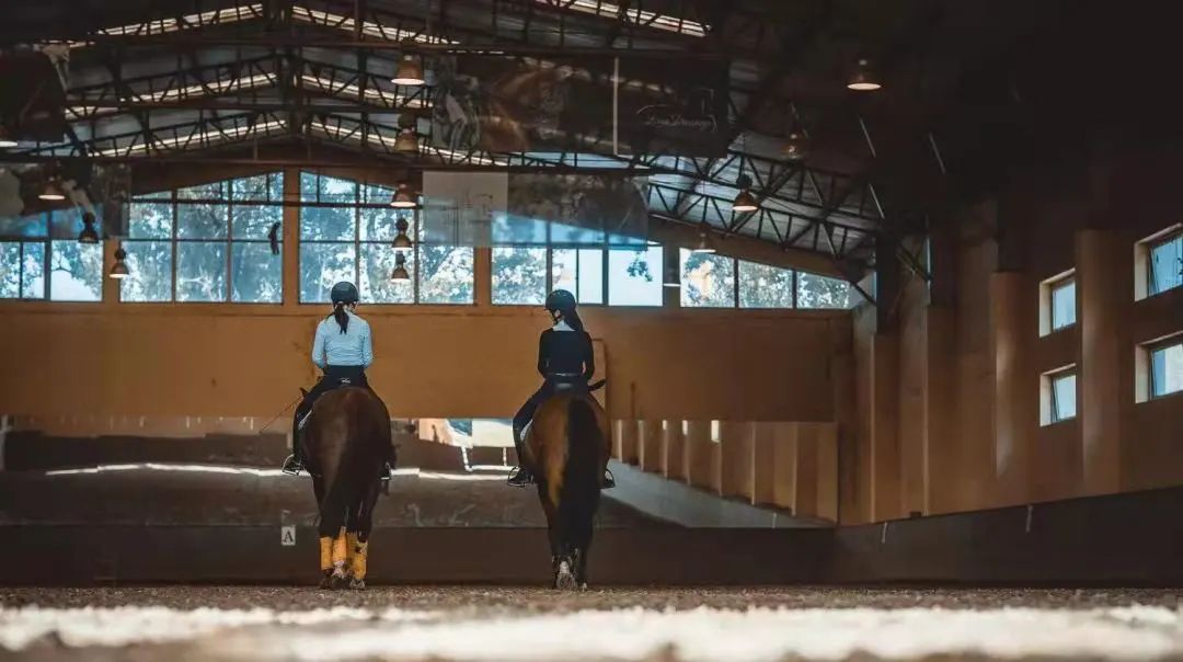 该不该给青少年买马，你的孩子真需要一匹马么？