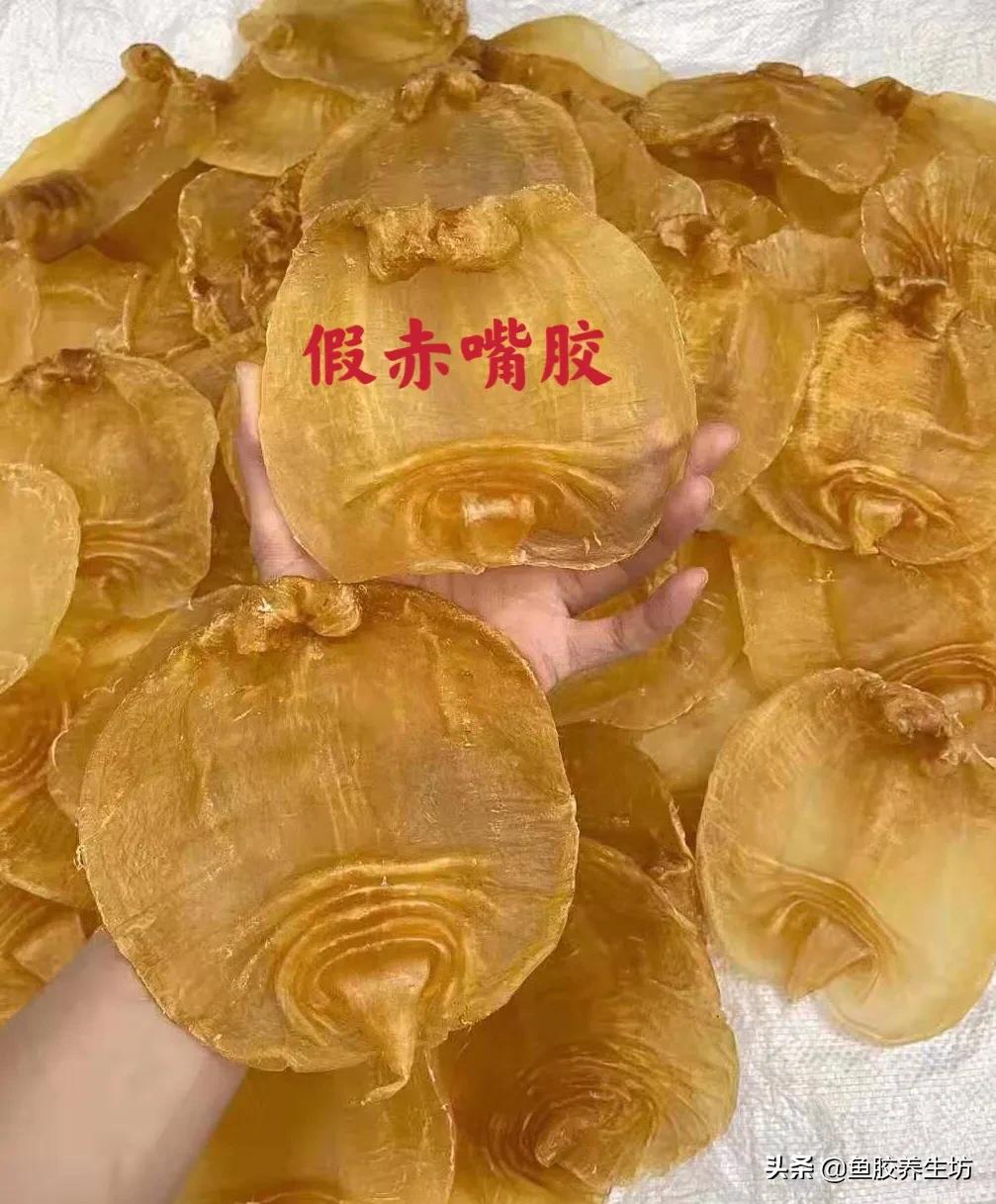 假赤嘴鱼胶是什么样子,假的赤嘴鳘鱼胶