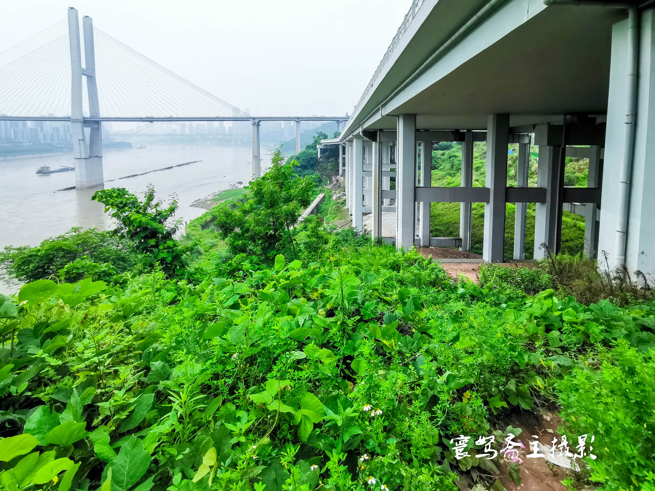 重庆茅溪百年偃月桥,重庆长江大桥两岸风光