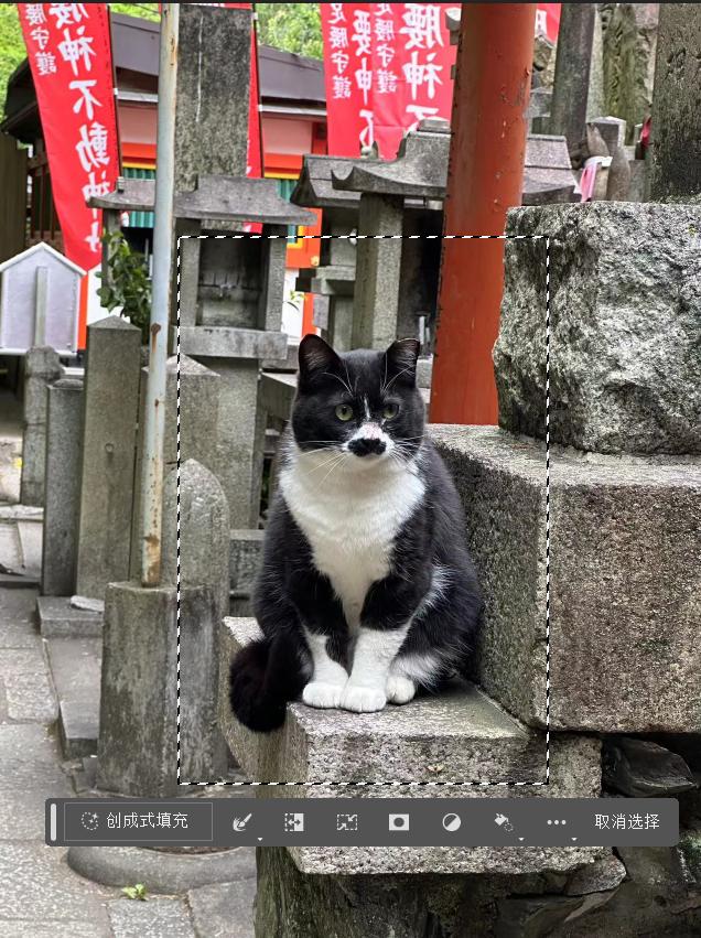 ps免费在线工具,ps零基础多久可以学会简单的p图