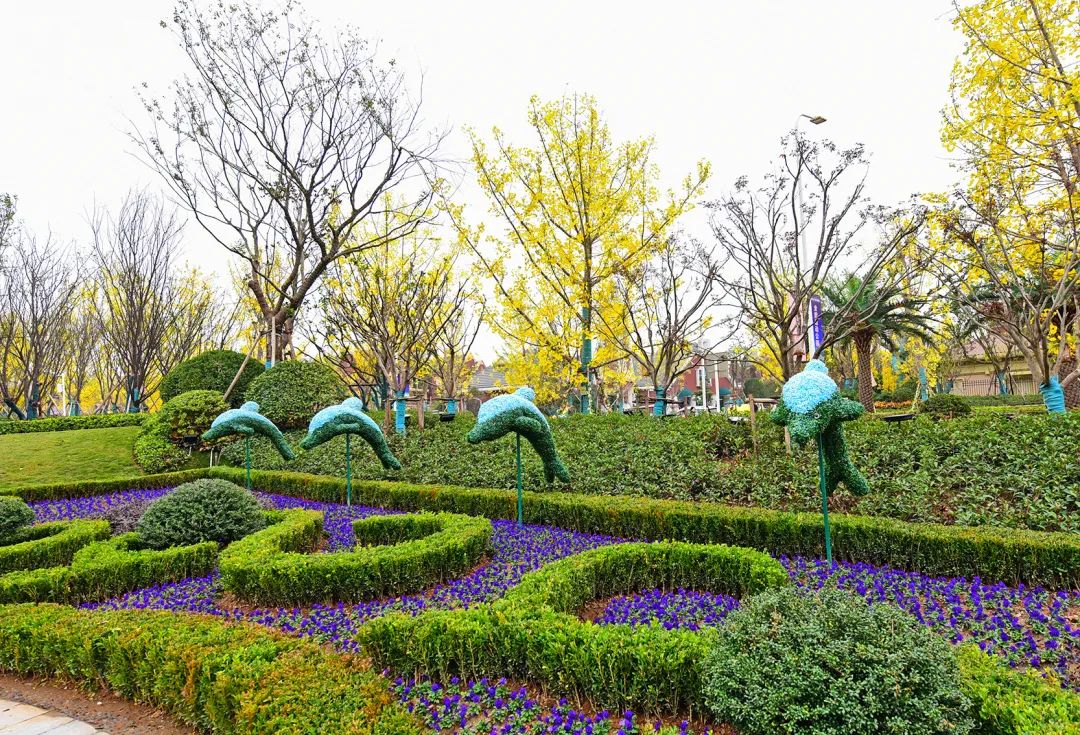 武汉恒大科技旅游城项目最新进度,武汉恒大科技旅游城以前视频