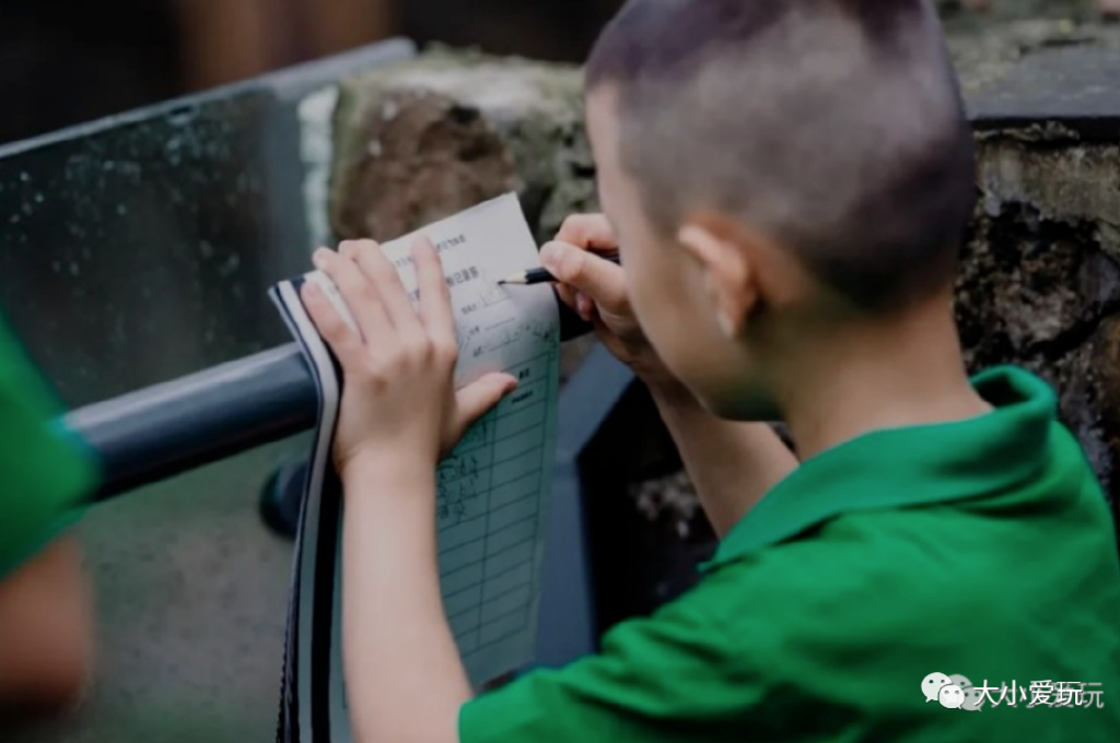 盘点从北到南带娃欢度的小众地！海边、沙漠、喂熊猫、看火箭…