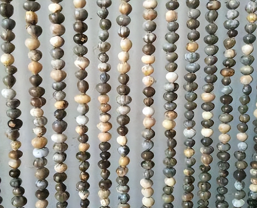 传说中会吸血的珠子,吸血珠有什么作用