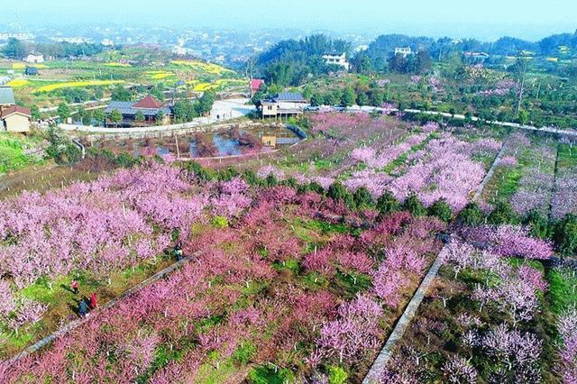 为四川宜宾点赞,为宜宾点赞