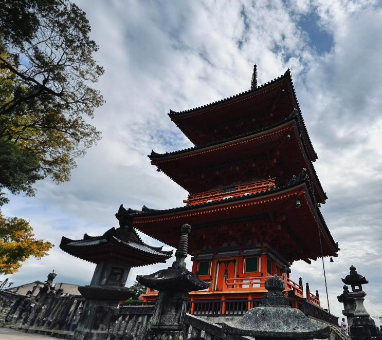 ps免费在线工具,ps零基础多久可以学会简单的p图