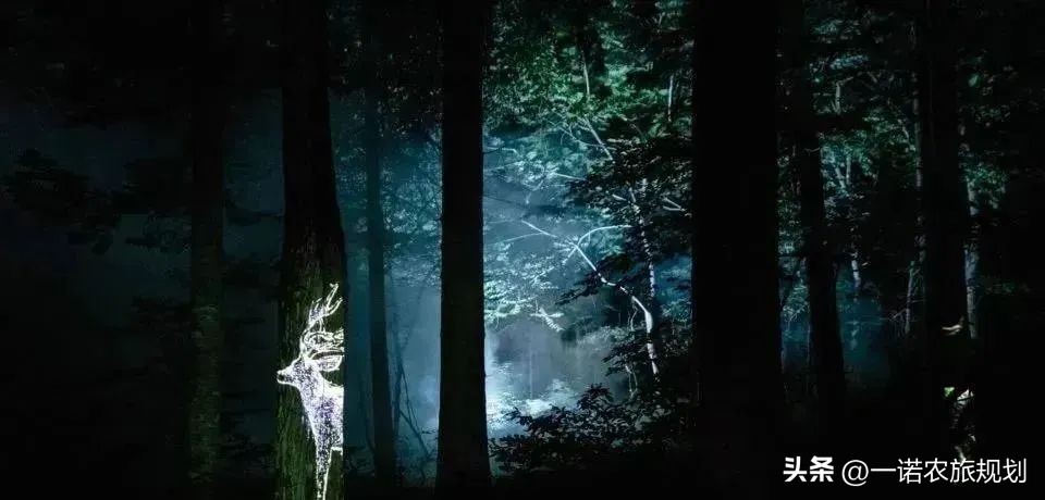 100个夜游项目推荐,沉浸式夜游项目经典案例