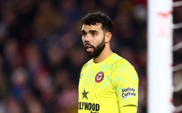 曼联热刺交易,大卫拉亚热刺