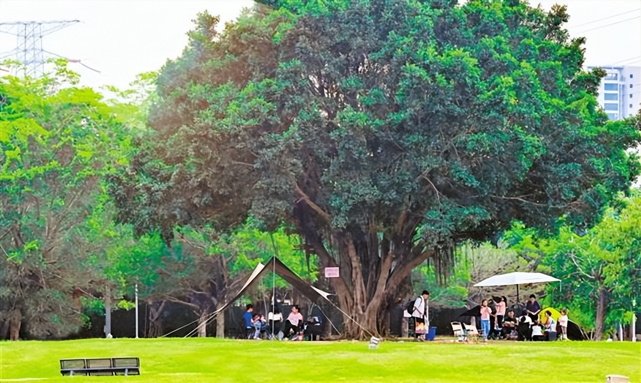 露营热醒,露营热户外经济