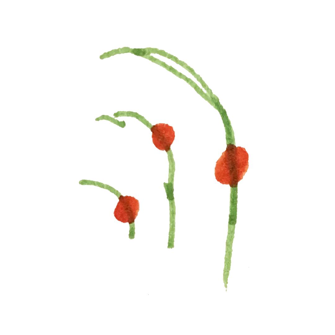 儿童友好城市设计｜菏泽市儿童友好城市LOGO和宣传标语获奖作品