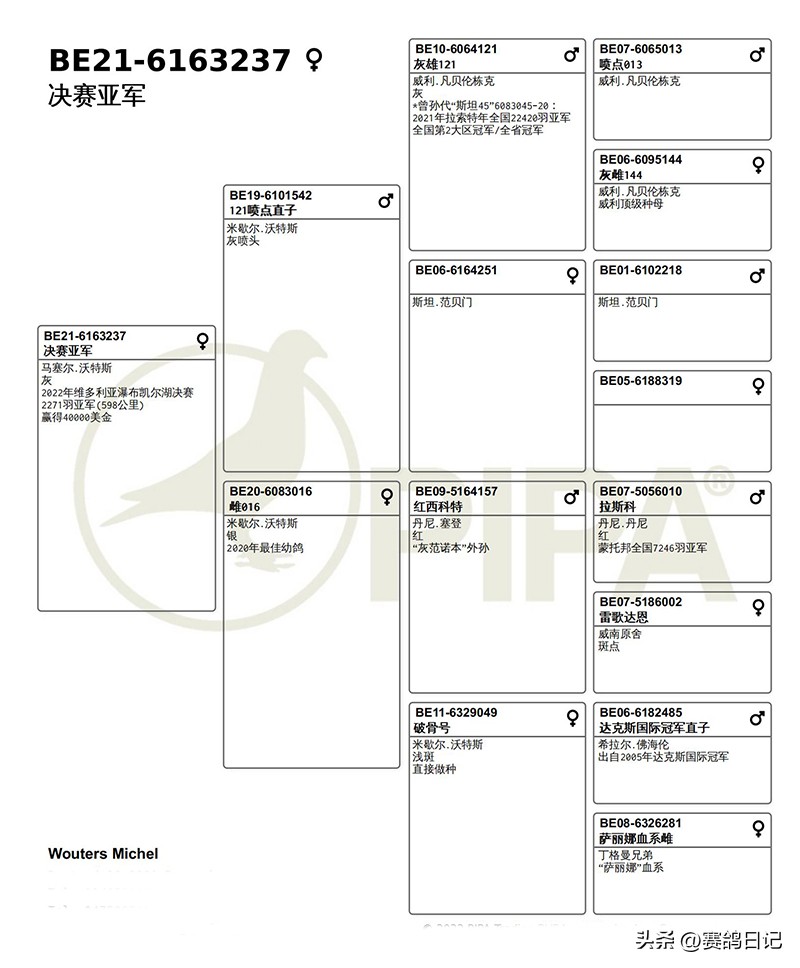 维多利亚公棚,维多利亚瀑布公棚参赛费
