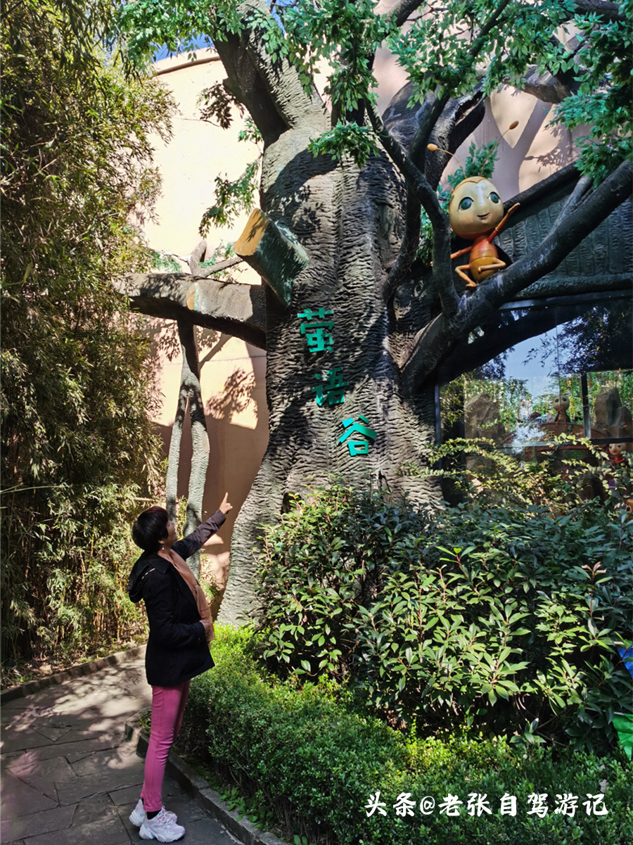 山东5个最美景点,山东最出名的旅游景点排名前十