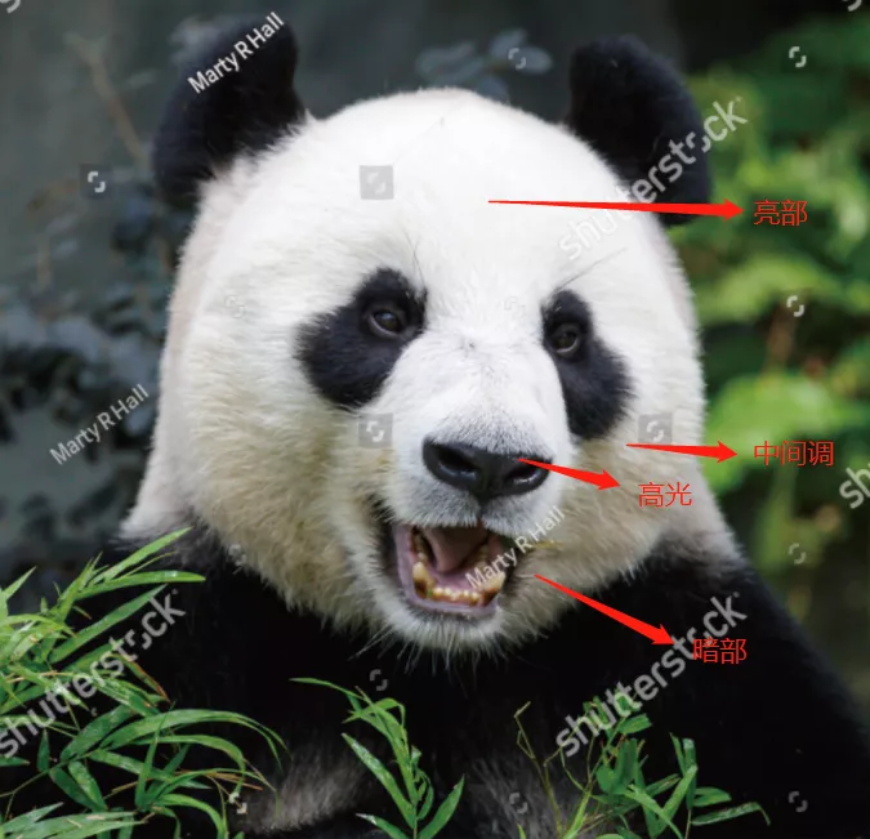 ai怎么做篮球logo,ai制作队标