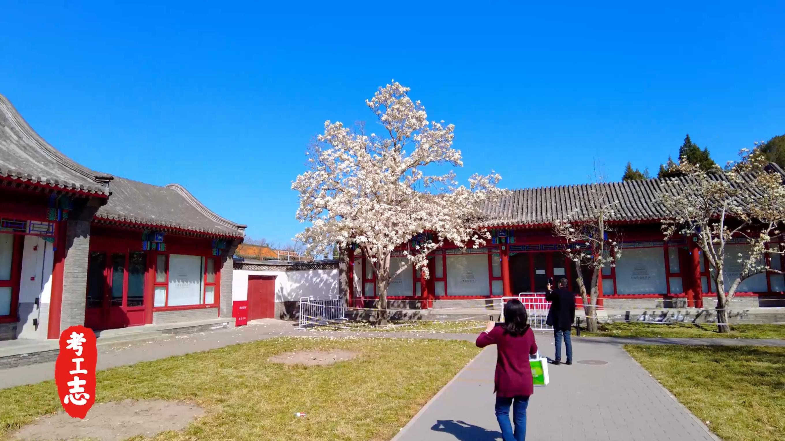 无人发现！众目睽睽下，隐藏百年的工艺巧思「北京北海公园」