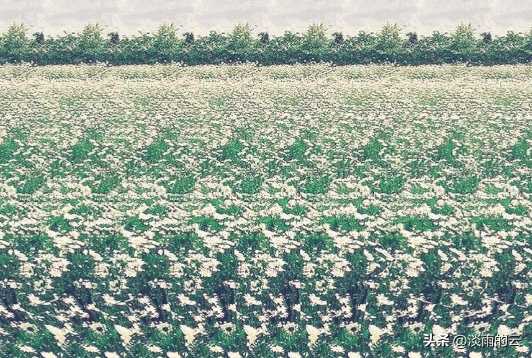 怎么来到三维视角,怎么样快速看懂三维立体图