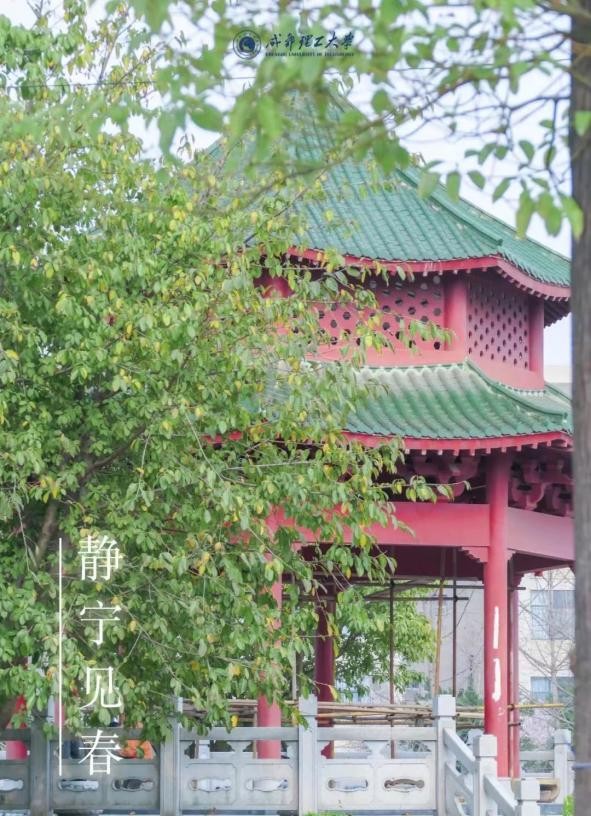 四川网红大学食堂,四川网红高校食堂