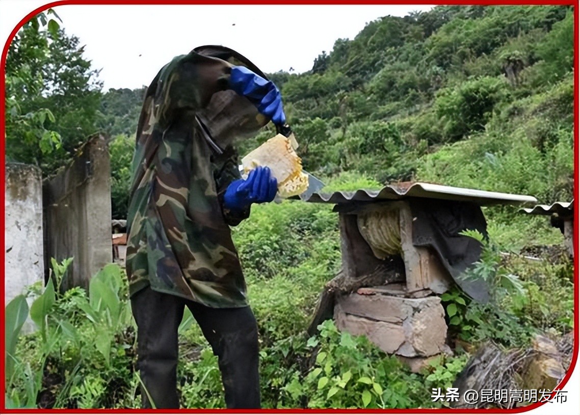 讲好荒田“农”故事铭记*党**的“浓”恩情