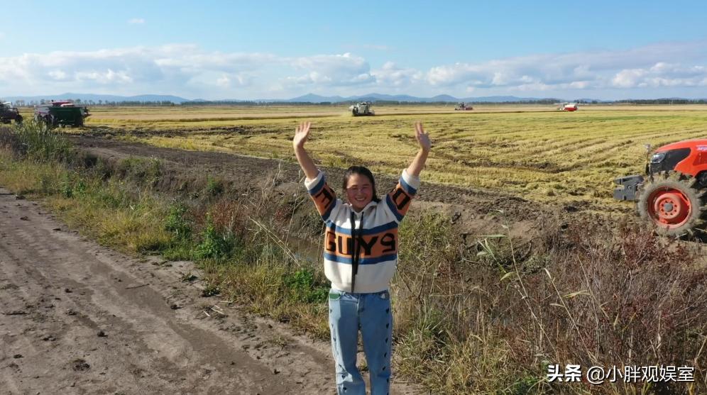 一个网红成功干翻万人就业,东北的7位网红