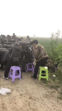 夏天又要来了穿汉服,夏天来了女孩子穿裙子