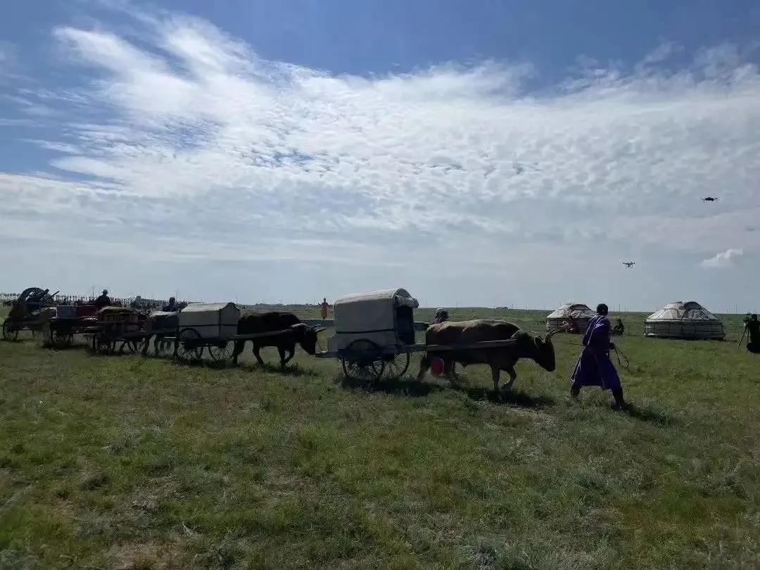 回首2021这一年,回顾2019精彩体育瞬间