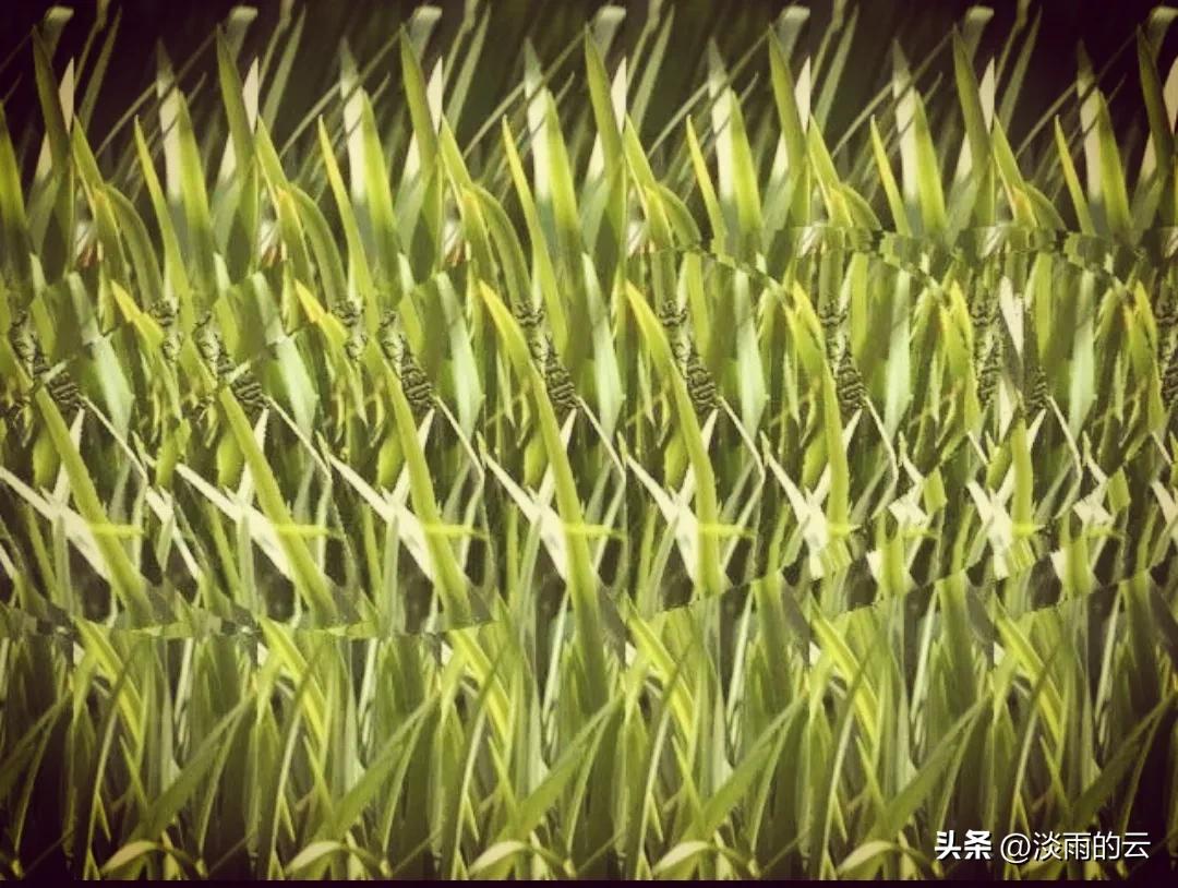 怎么来到三维视角,怎么样快速看懂三维立体图