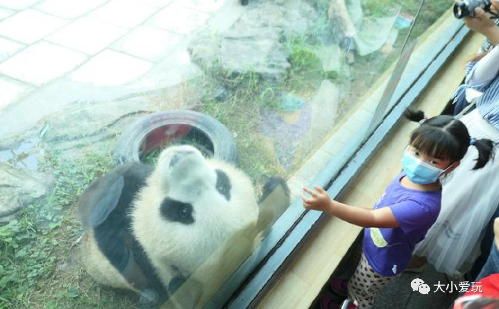 盘点从北到南带娃欢度的小众地！海边、沙漠、喂熊猫、看火箭…
