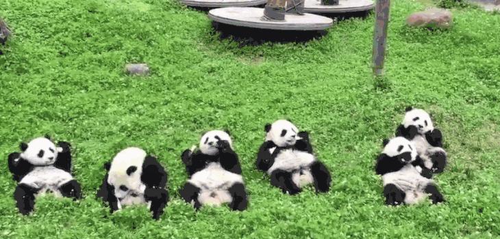 盘点从北到南带娃欢度的小众地！海边、沙漠、喂熊猫、看火箭…