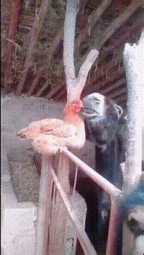 夏天又要来了穿汉服,夏天来了女孩子穿裙子