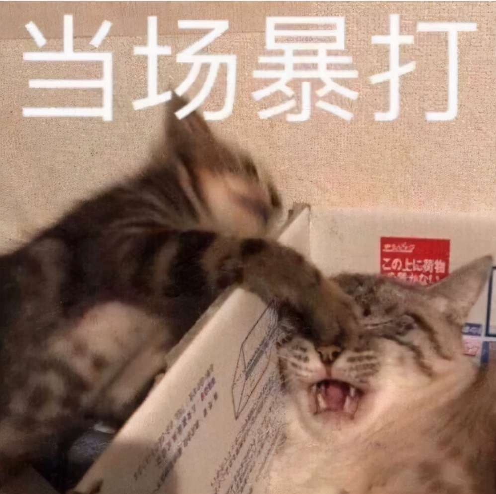 有周星驰的电影就有无厘头,有周星驰的电影