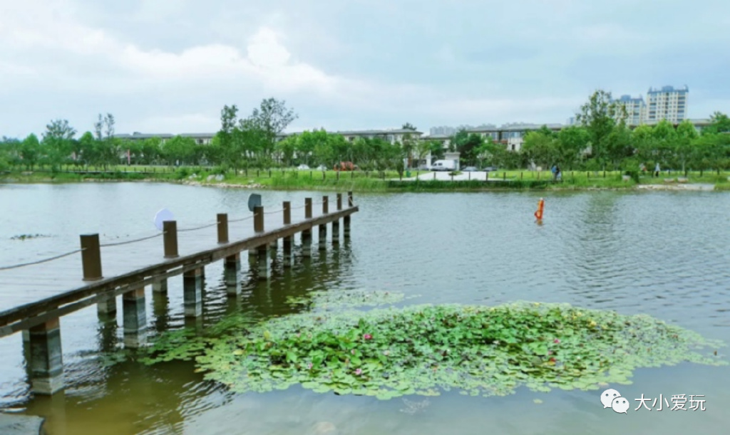 盘点从北到南带娃欢度的小众地！海边、沙漠、喂熊猫、看火箭…