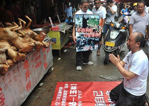 清华教授谈吃狗肉视频,清华教授谈食品安全危害性