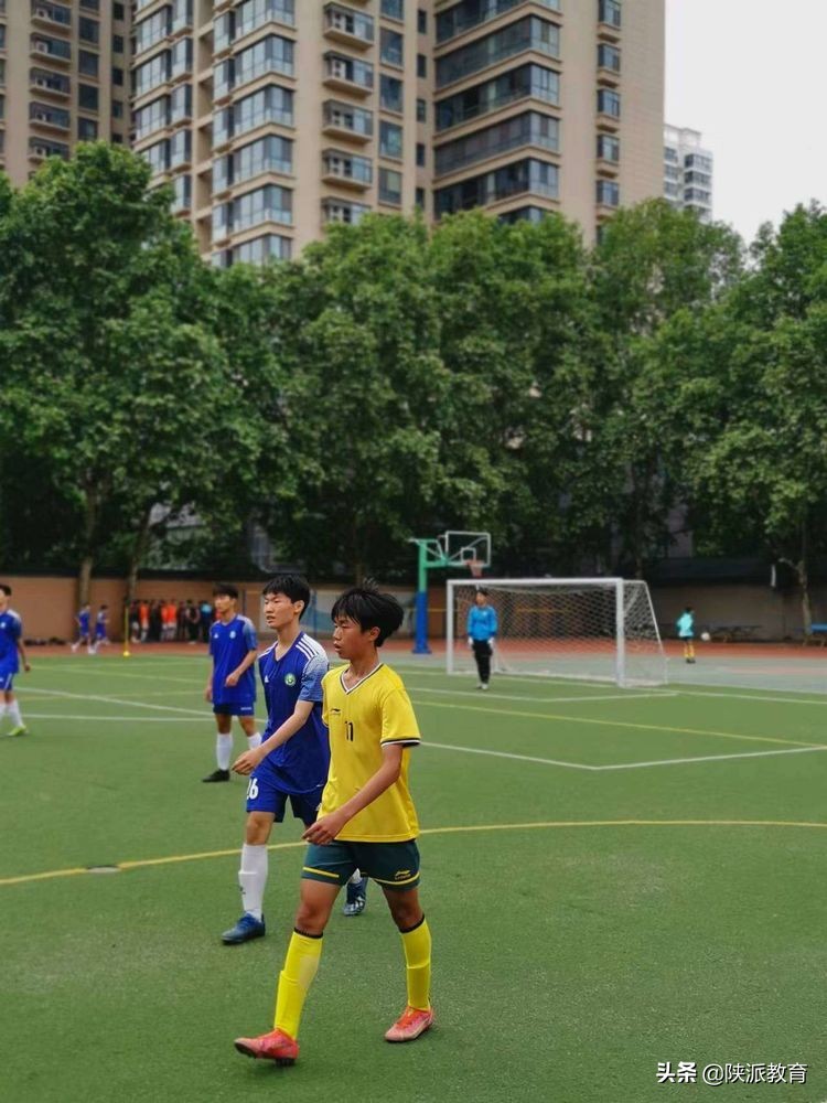 2024年碑林区青少年校园足球联赛,西安市第八届青少年足球赛