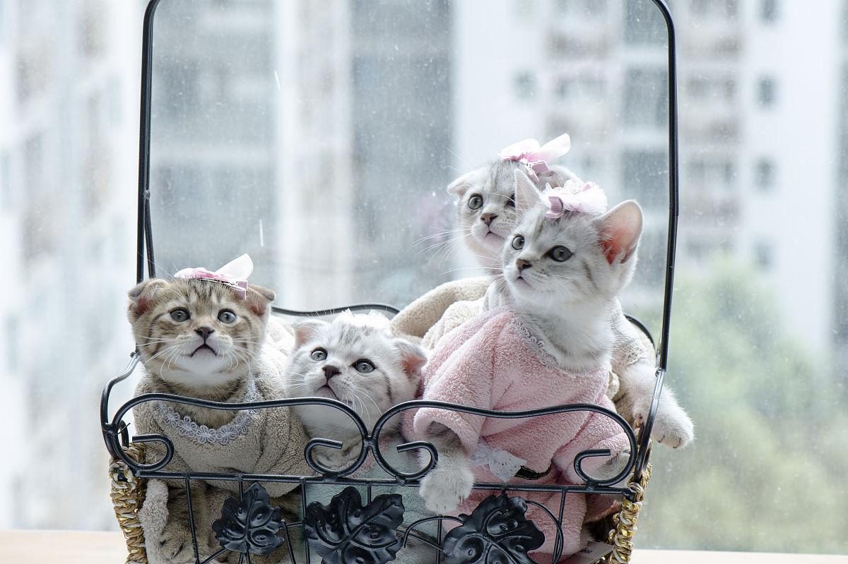 山河远阔不如一碗人间烟火的意思,山河远阔音乐