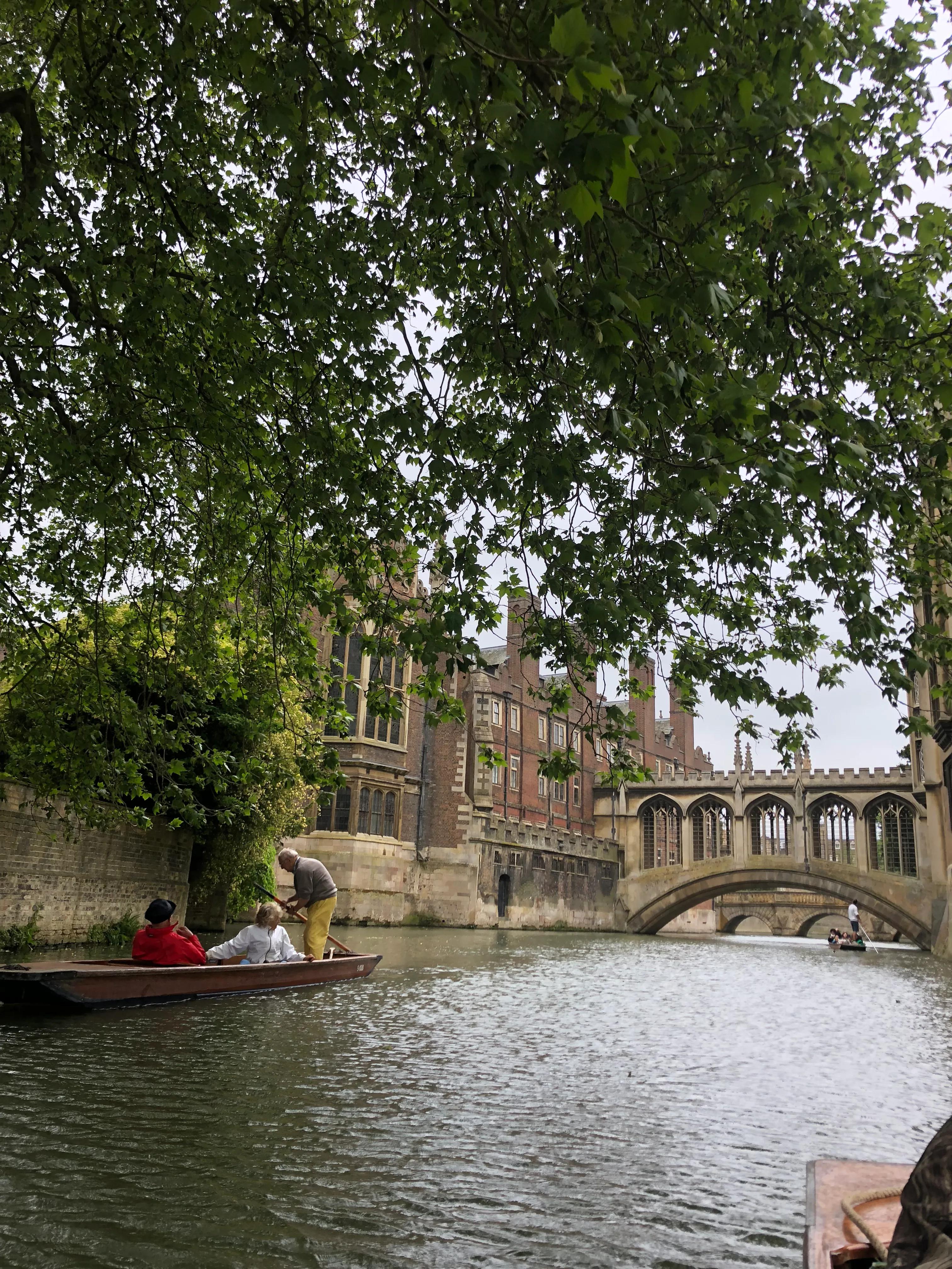 46天环游南太平洋海岛之旅,旅行日记大攻略