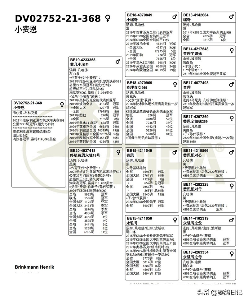 维多利亚公棚,维多利亚瀑布公棚参赛费