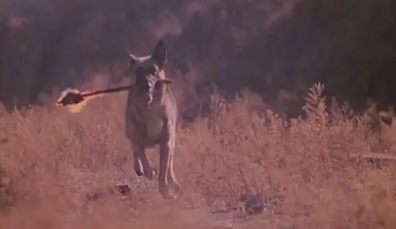34年过去了，是时候好好谈谈科幻儿童片天花板《霹雳贝贝》了