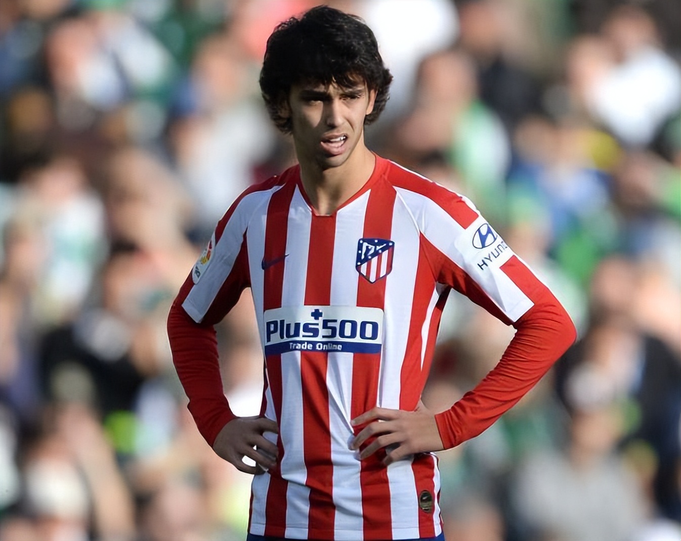 欧洲黑店波尔图本菲卡阿贾克斯,摩纳哥跟多特蒙德哪个实力强